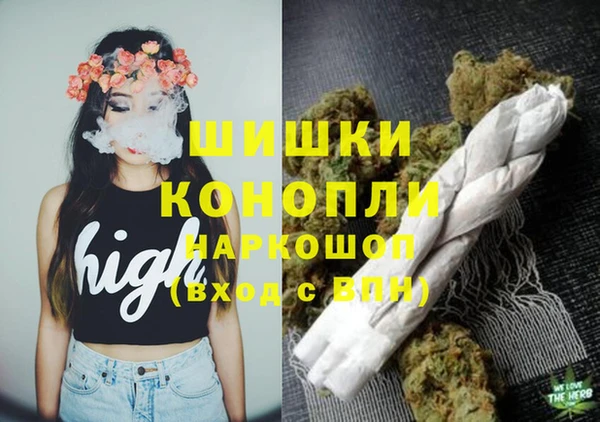 твердый Новозыбков