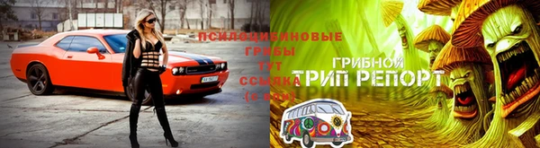 стафф Абдулино