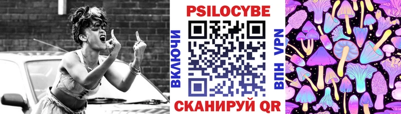 Псилоцибиновые грибы Cubensis  omg зеркало  Полярный 